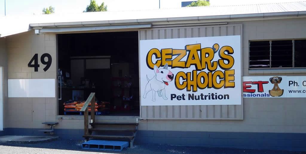 Cezar's Choice