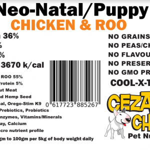 neo-natal-puppy