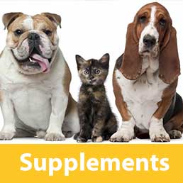 Supplements