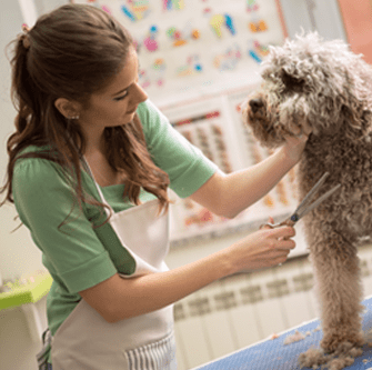 a woman appers to be petting the dog lovingly as indicated by its body language while gromming