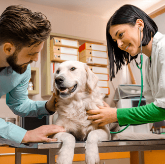 man keeping his dog calm so that the dog doctor can check